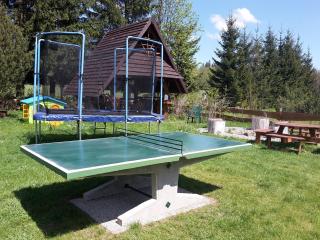 Roubenka Rejvíz - Rejvíz - 9