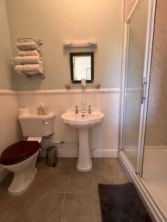 CANTRE SELYF - Historic Property in the Centre of Brecon - Brecon - 7