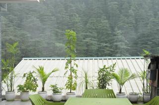 Neha Homestay - 7