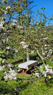 River Valley Guest House - 3