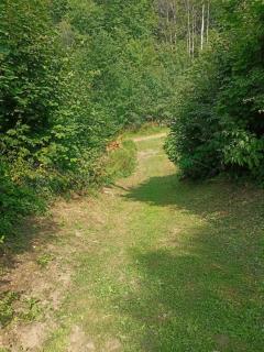 Przystanek Wetlina - 2