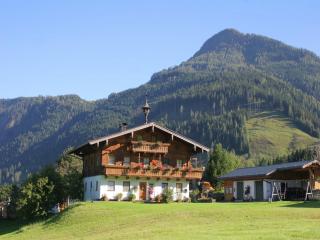 Apartment in Embach near Gastein Ski Area - Embach - 3