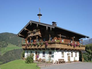 Apartment in Embach near Gastein Ski Area - Embach - 4