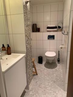 Large Architect Designed Home in City Centre - Hamar - 7