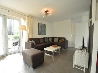 Wellness aan het Water in Earnewoude - 9