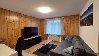 Completely refurbished comfortable apartment - Goldswil - 5