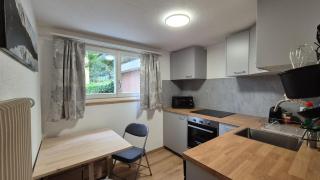 Completely refurbished comfortable apartment - Goldswil - 1