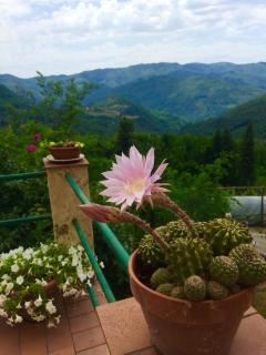 House With Panoramic Terrace - 7
