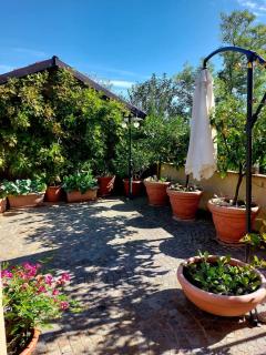 Casa Nonna Ada - Cisterna dʼAsti - 1