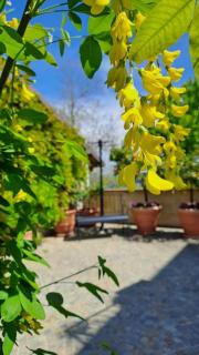 Casa Nonna Ada - Cisterna dʼAsti - 6