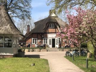 Lakeside Comfort with Balcony - Eutin - 6