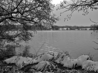 Lakeside Comfort with Balcony - Eutin - 5