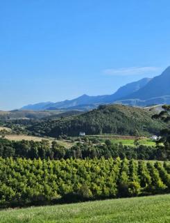 Podium Farm Stay - 9