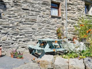 Bron Elan - Dolwyddelan - 4
