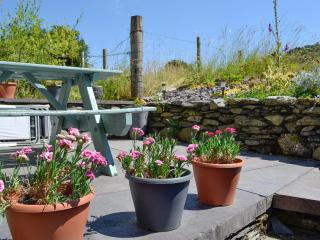 Bron Elan - Dolwyddelan - 3