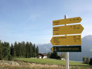 Chalet in Kirchberg near Ski Lift & Sauna - 1