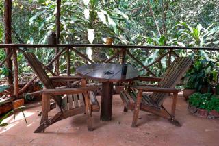 Tacugama Chimpanzee Sanctuary - - 1