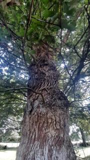 Cottage près de Rennes - 6