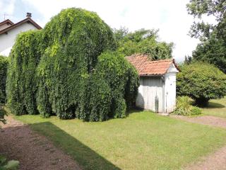 Ecrin des 2 Baies Maison - Vron - 5