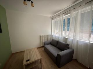 Appartement lumineux à Royat - 3