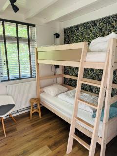 Bungalow De Hazelaar I 4 personen - Gasselte - 3