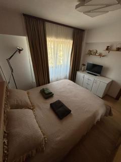 Apartament de lux, zona centrala - 3