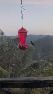 Rustic Cabin in Salento - 6