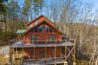 Parkview Panorama by American Patriot Getaways - 1