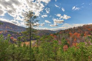 R & R Hideaway by American Patriot Getaways - 0