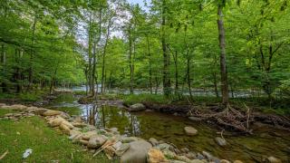 Rivers Edge by American Patriot Getaways - 5