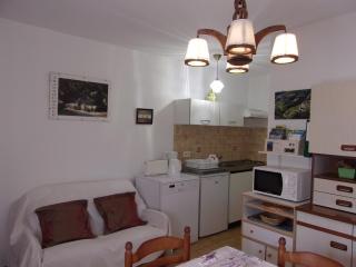Location Laroque Cévennes - 3