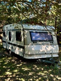 Arion Camp - Bobritsa - 3