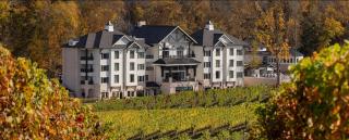 Nicewonder Farm & Vineyards - 0