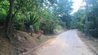 Pet Paraty Rustic Private Cabin Wi-Fi - 8