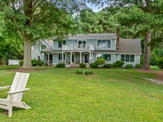 Blue Herons Villa - 2