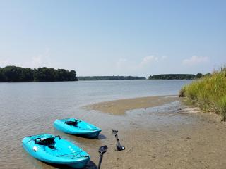 Centreville Waterfront Farm - 170 Acres - Pool - Private Dock - Private Beach - 7