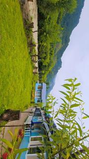 windowsar river cottages - 9
