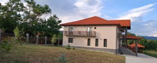 Agropensiunea Anovia - Aninişu din Deal - 2