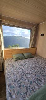 Green Discovery's Birds' Nests - 1