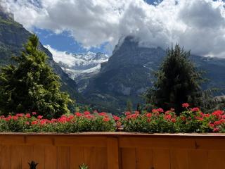 Orion - Luxuriöse Duplex Wohnung in Grindelwald - Grindelwald - 7