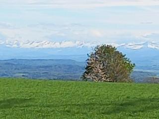 Pension zur frohen Einkehr - Tengen - 7