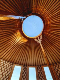 Glamping ve vinohradu, Jurty Marcipan - Jižní Morava - Blučina - 7