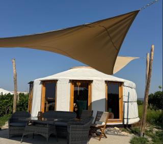 Glamping ve vinohradu, Jurty Marcipan - Jižní Morava - Blučina - 3