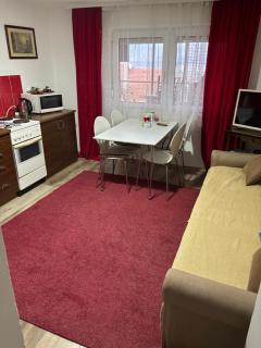 Apartman Delfin - Grahovište - 7