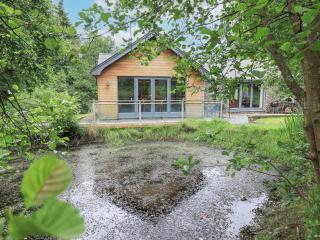 Bracken Ground - Coniston - 9
