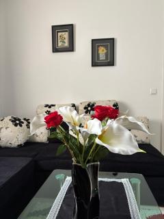 Apartman JANA - Bileća - 6