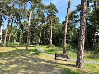 Stay Cozy - Apartment am See mit Pool und Sauna - Bad Saarow - 7