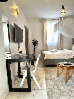 Spacious studio Apt Milimani - Kisumu - 7