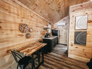 Cabin #1 Studio with Kitchenette - Hartwell Cabins - 9