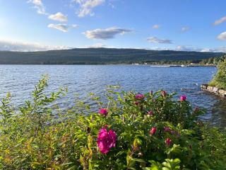 Snåsa Bryggehage - Top apartment - 3